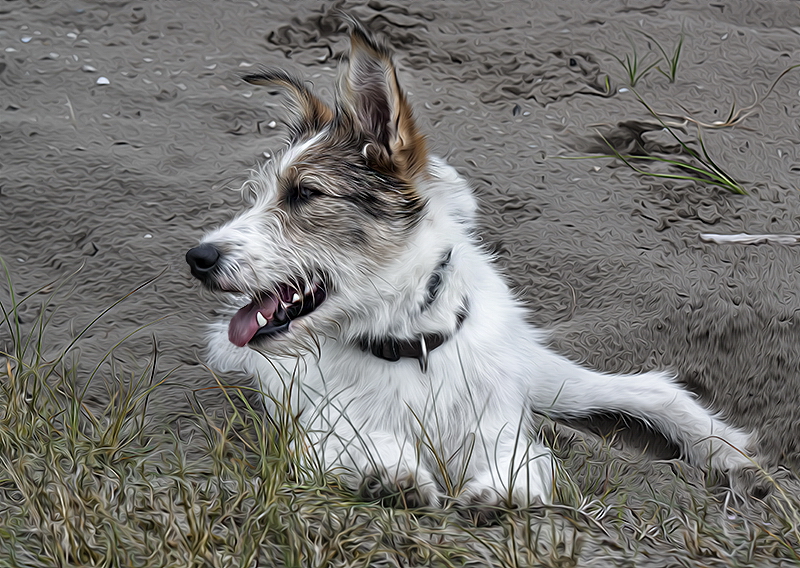 001 Nummer 2 Felix Holland 6 - 2013 _SAM_2209 Kopie.jpg